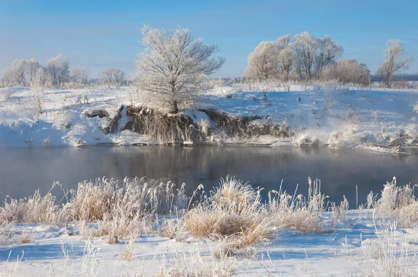 Inverno Marea Invernale Inverno Ibernazione Stagione Più Fredda Dell Anno — Foto Stock