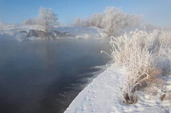 Winter Winter Tij Winter Tijd Hibernate Hij Koudste Seizoen Van — Stockfoto