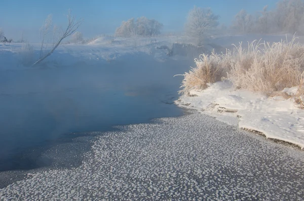 Winter Winter Tide Winter Time Hibernate Coldest Season Year Northern — Stock Photo, Image