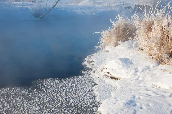 Iarnă Maree Iarnă Iarnă Hibernare Cel Mai Rece Sezon Anului — Fotografie, imagine de stoc