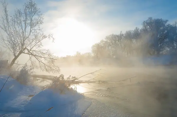 Inverno Inverno Maré Inverno Tempo Hibernar Ele Estação Mais Fria — Fotografia de Stock