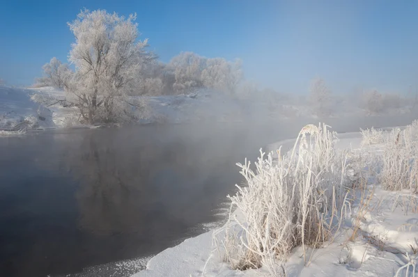 Winter Flut Winterzeit Winterschlaf Die Kälteste Jahreszeit Des Jahres Auf — Stockfoto