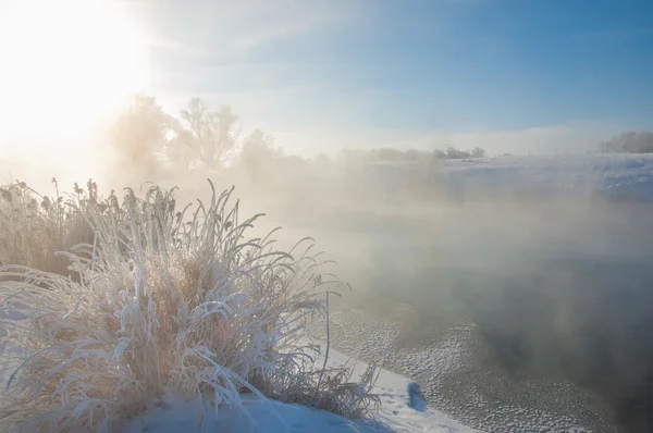 Зимовий Зимовий Зимовий Сплячий Найхолодніший Сезон Року Північній Півкулі Грудня — стокове фото