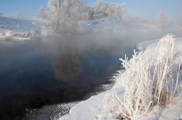 Winter Winter Winter Wintertijd Winterslaap Het Koudste Seizoen Van Het — Stockfoto