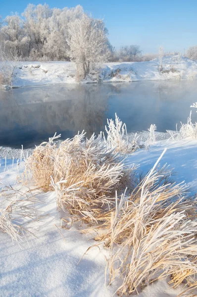 Winter Winter Tide Winter Time Hibernate Coldest Season Year Northern — Stock Photo, Image