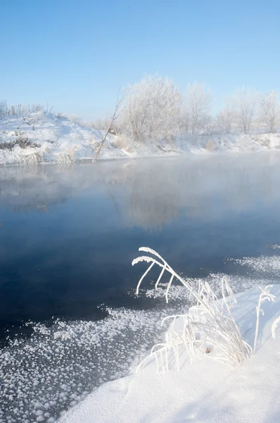 Winter Winter Winter Wintertijd Winterslaap Het Koudste Seizoen Van Het — Stockfoto