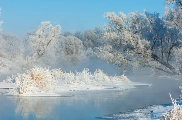 Vinter Vinter Tid Vinter Tid Dvala Han Kallaste Årstid Norra — Stockfoto