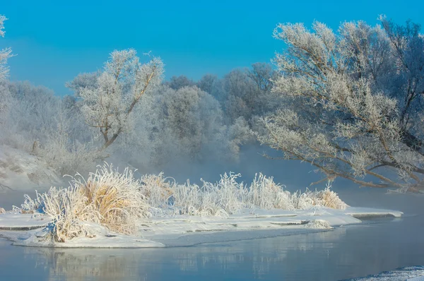 Kış Kış Kış Kış Mevsimi Kış Uykusuna Yatar Yılın Soğuk — Stok fotoğraf
