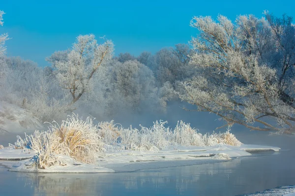 Winter Flut Winterzeit Winterschlaf Die Kälteste Jahreszeit Des Jahres Auf — Stockfoto