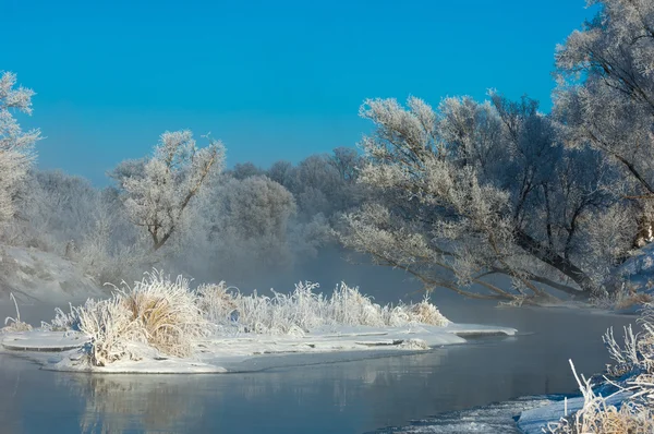 Winter Flut Winterzeit Winterschlaf Die Kälteste Jahreszeit Des Jahres — Stockfoto