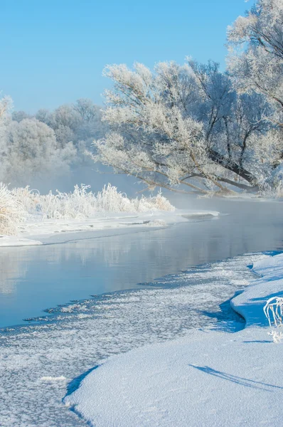 Winter Flut Winterzeit Winterschlaf Die Kälteste Jahreszeit Des Jahres Auf — Stockfoto