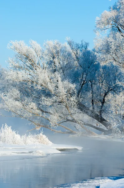 Winter, Winter-Flut, Winter-Zeit — Stockfoto