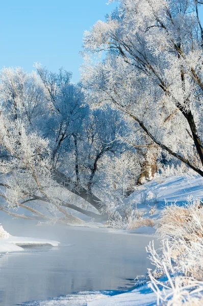 Winter Winter Tide Winter Time Hibernate Coldest Season Year Northern — Stock Photo, Image