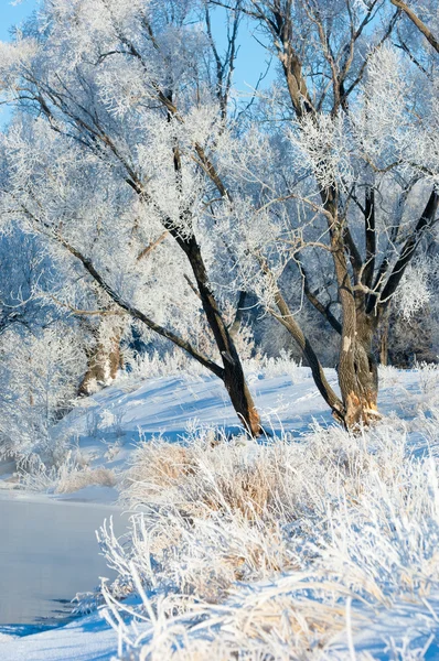 Winter Flut Winterzeit Winterschlaf Die Kälteste Jahreszeit Des Jahres Auf — Stockfoto