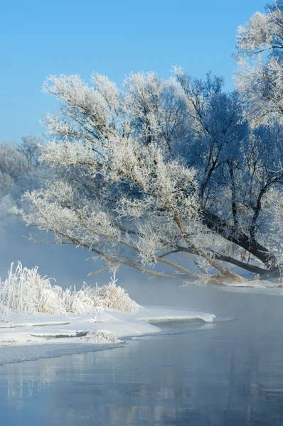 Vinter Vinter Tide Vintern Övervintra Han Kallaste Årstid — Stockfoto