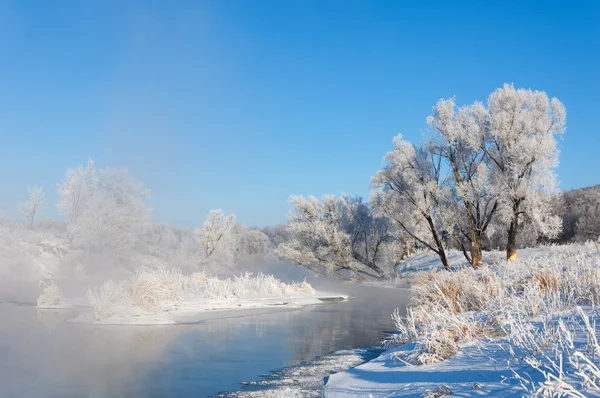 Zima Zima Fala Czas Zimowy Hibernacji Najzimniejsze Porze Roku — Zdjęcie stockowe