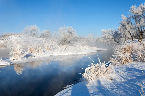 Inverno Marea Invernale Inverno Ibernazione Stagione Più Fredda Dell Anno — Foto Stock