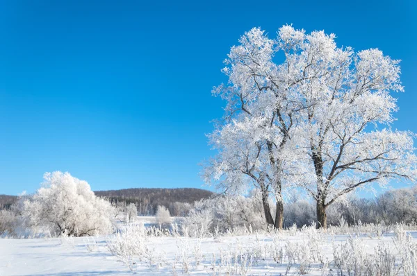 Invierno, invierno-marea, invierno-tiempo — Foto de Stock