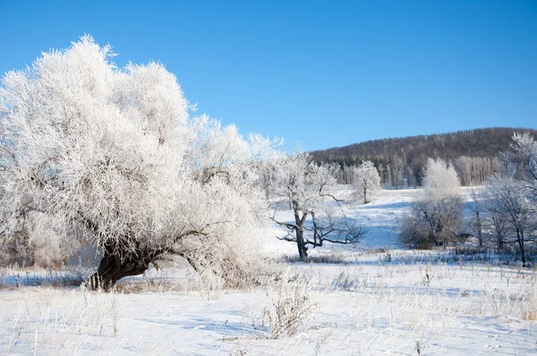 Winter, wintergetij, wintertijd — Stockfoto