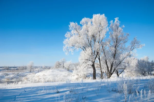 Winter, Winter-Flut, Winter-Zeit — Stockfoto