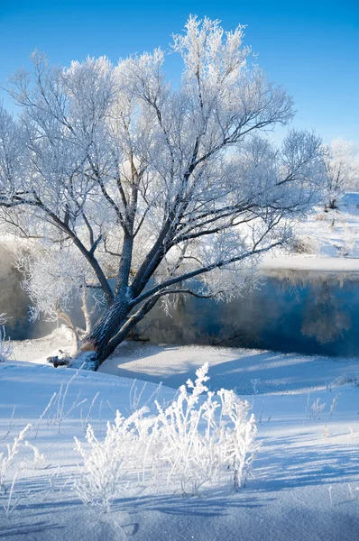 Winter, Winter-Flut, Winter-Zeit — Stockfoto