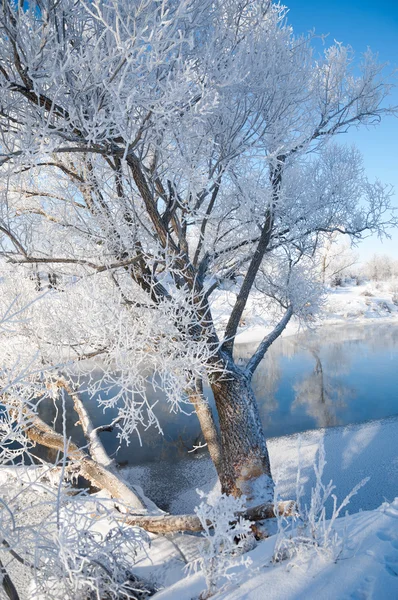 Winter, Winter-Flut, Winter-Zeit — Stockfoto