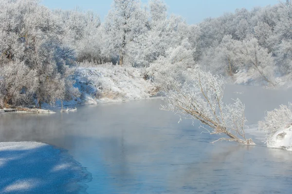 Winter Flut Winterzeit Winterschlaf Die Kälteste Jahreszeit Des Jahres — Stockfoto