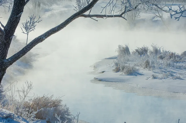 Winter Flut Winterzeit Winterschlaf Die Kälteste Jahreszeit Des Jahres — Stockfoto