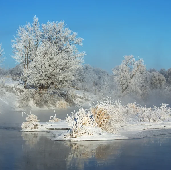 Inverno, marea invernale, periodo invernale — Foto Stock