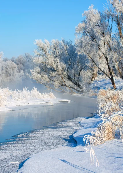 Winter Winter Tide Winter Time Hibernate Coldest Season Year — Stock Photo, Image