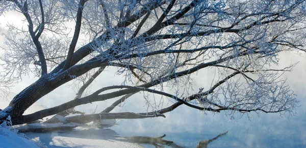 Winter Flut Winterzeit Winterschlaf Die Kälteste Jahreszeit Des Jahres — Stockfoto