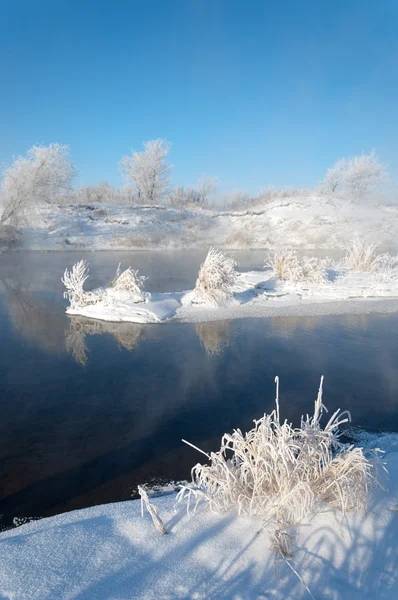 Winter Winter Tide Winter Time Hibernate Coldest Season Year Stock Image