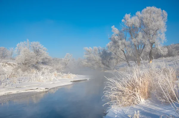 Winter Winter Tide Winter Time Hibernate Coldest Season Year Royalty Free Stock Images