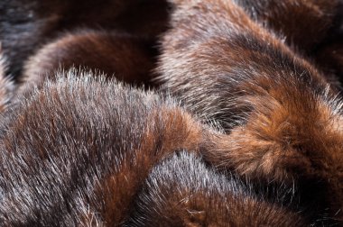 doku. Vizon kürk. vizon kürk. fotoğraf stüdyosu