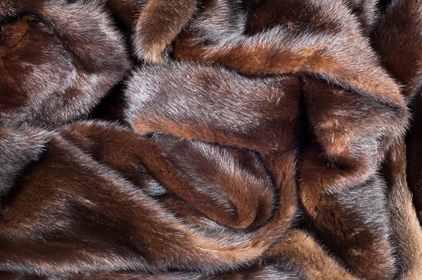 Texture Mink Fur Mink Coat Photo Studio — Stock Photo, Image