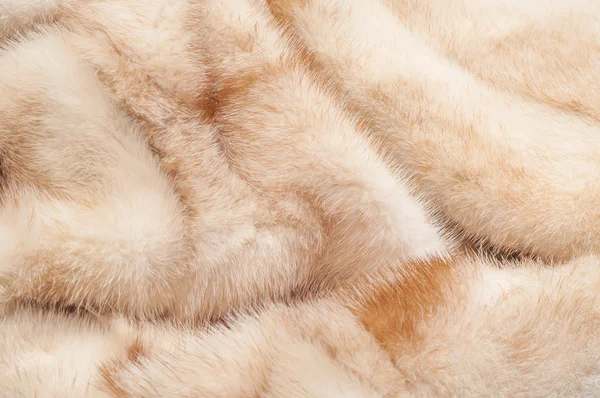 texture. Mink fur. mink coat.  photo studio