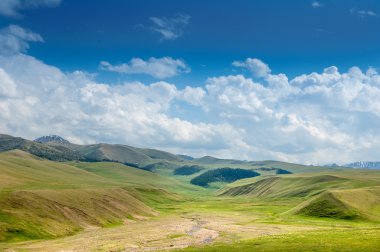 dağ, dağ, tepe. Kazakistan. Tien Shan. Takma Yaylası