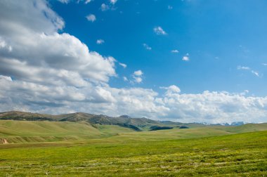 dağ, dağ, tepe. Kazakistan. Tien Shan. Takma Yaylası