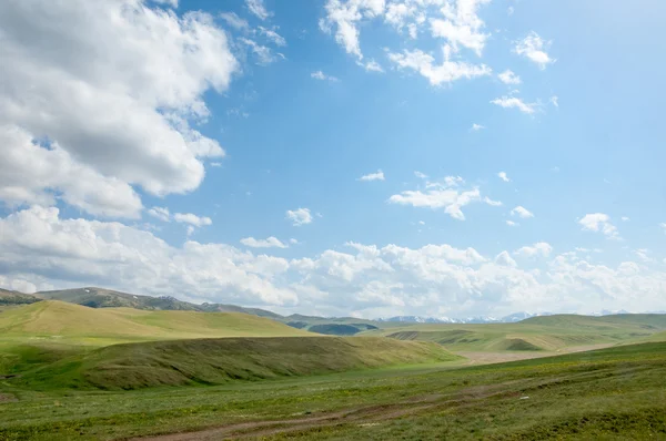 dağ, dağ, tepe. Kazakistan. Tien Shan. Takma Yaylası