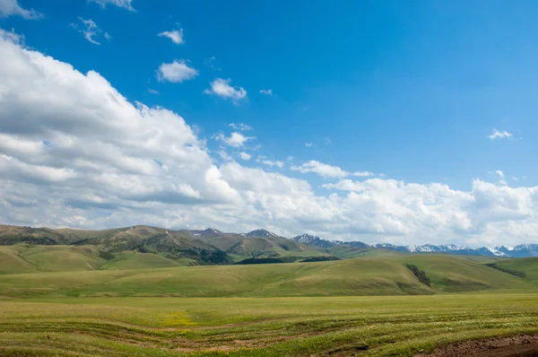 Góra Góra Wzgórze Kazachstan Tien Shan Assy Płaskowyżu — Zdjęcie stockowe