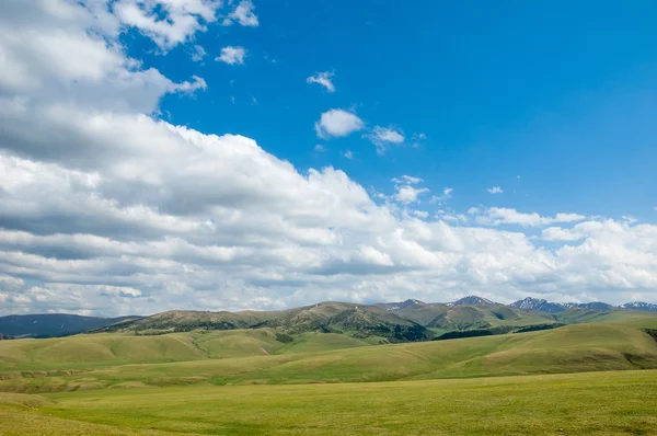 Hora Hora Vrch Kazachstán Tien Shan Komplet Plošina — Stock fotografie