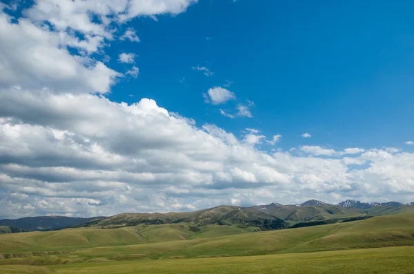 Montaña Monte Colina Kazajstán Tien Shan Meseta Assy — Foto de Stock