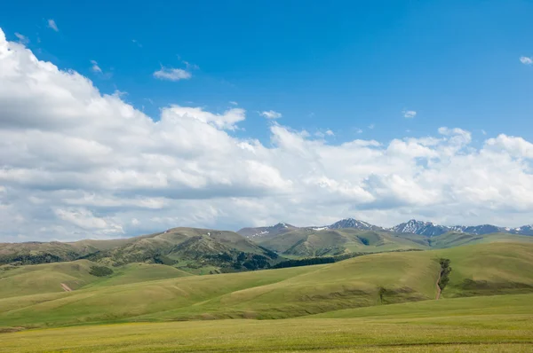 Berg Mount Hill Kazakstan Tien Shan Assy Platå — Stockfoto