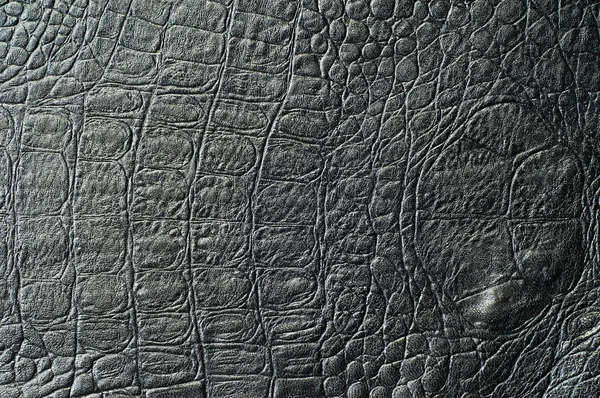 Crocodile de peau noir. texture — Photo