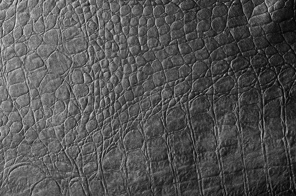 Siyah timsah derisi. doku