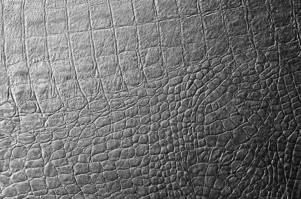 Crocodile de peau noir. texture — Photo