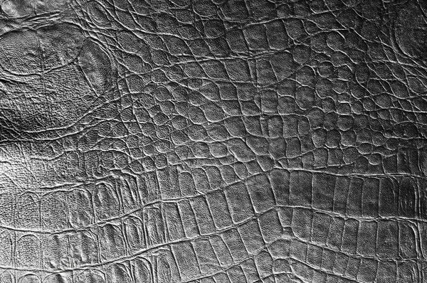 Crocodile de peau noir. texture — Photo