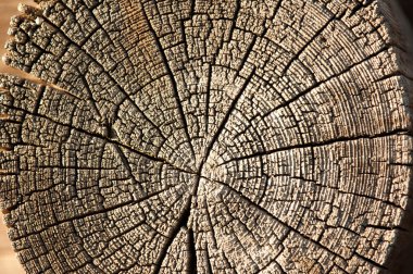 Eski ahşap (tahta dokusu).