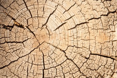 Eski ahşap (tahta dokusu).