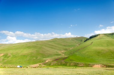 dağ, dağ, tepe. Kazakistan. Tien Shan. Takma Yaylası